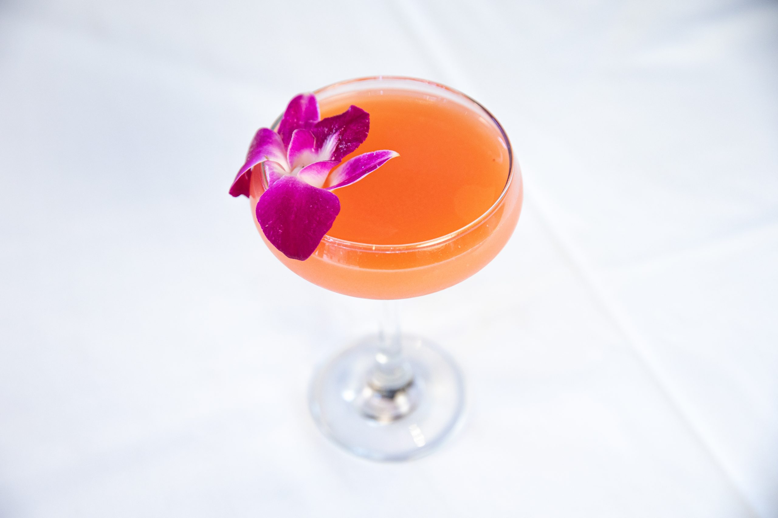 picture of the pretty in pink cocktail with an orchid garnish