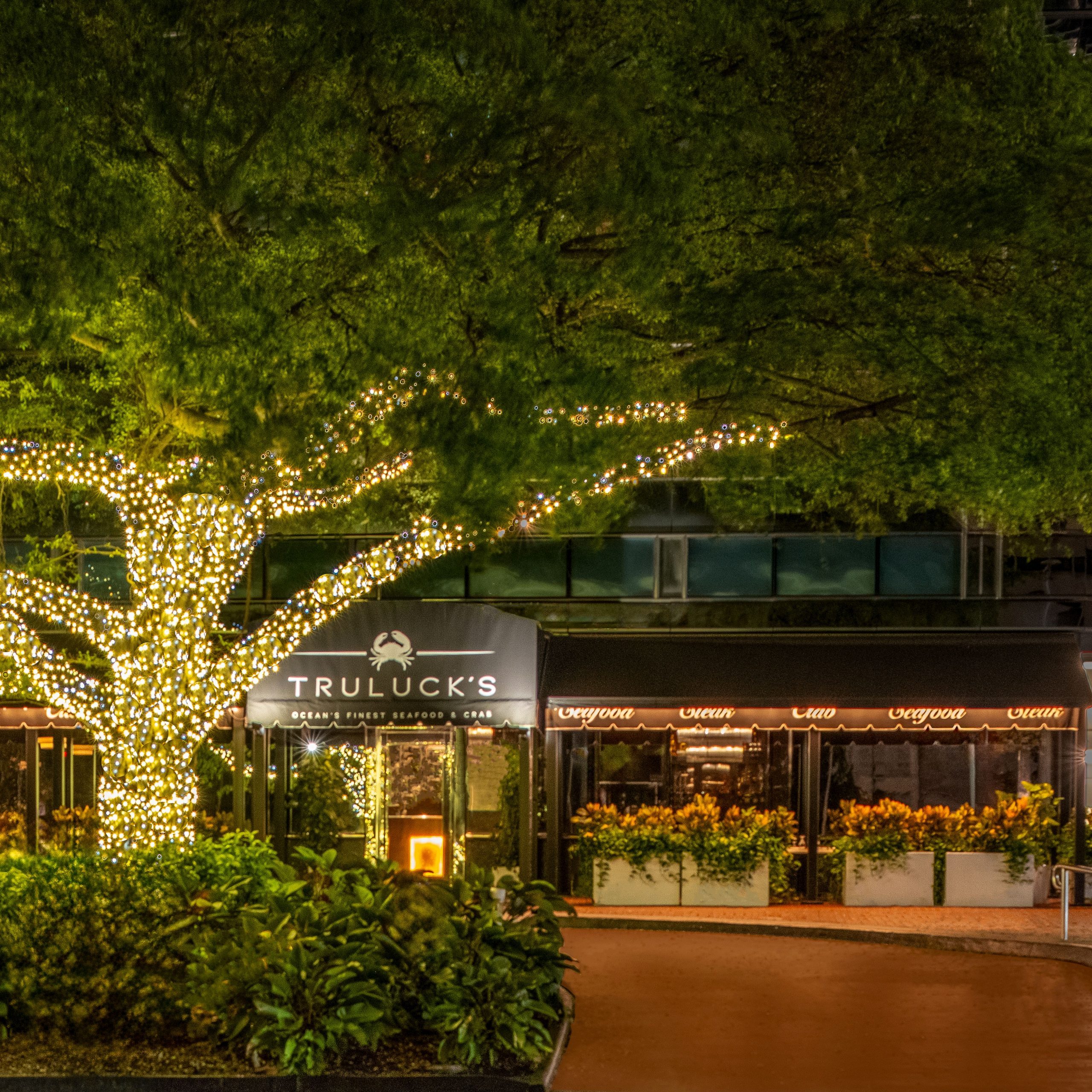 exterior of Truluck's Miami with a large tree wrapped in white lighting out front and black awnings wrapped around the entry and large planters