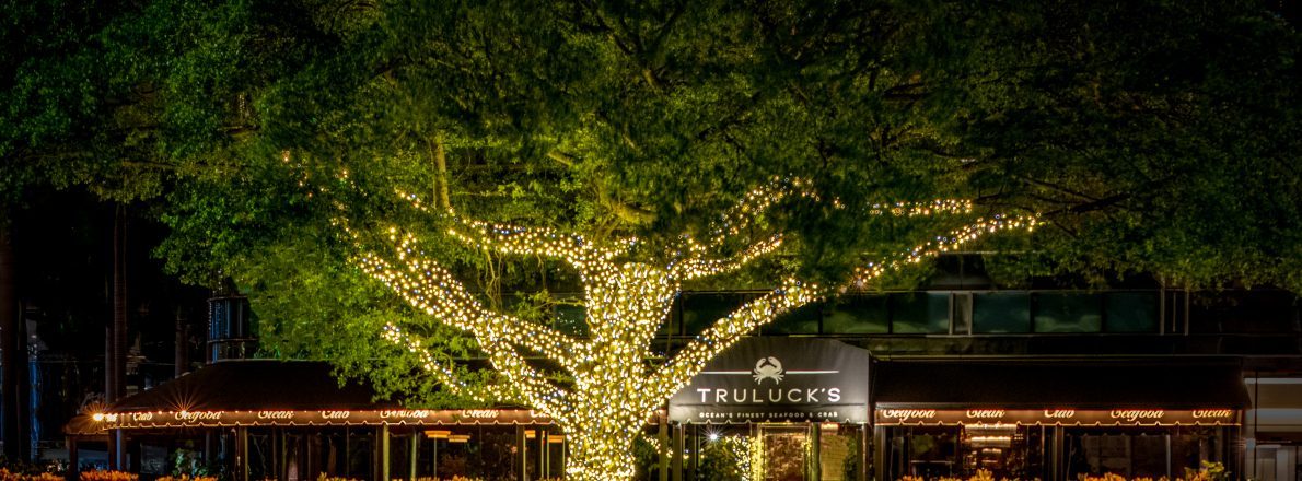 exterior of Truluck's Miami with a large tree wrapped in white lighting out front and black awnings wrapped around the entry