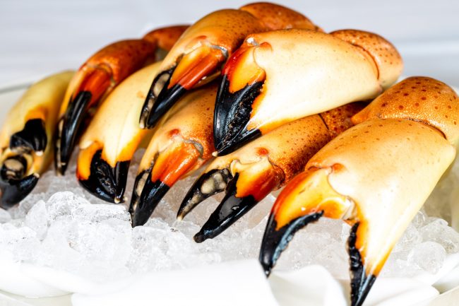 picture of Florida stone crab claws on a bed of ice