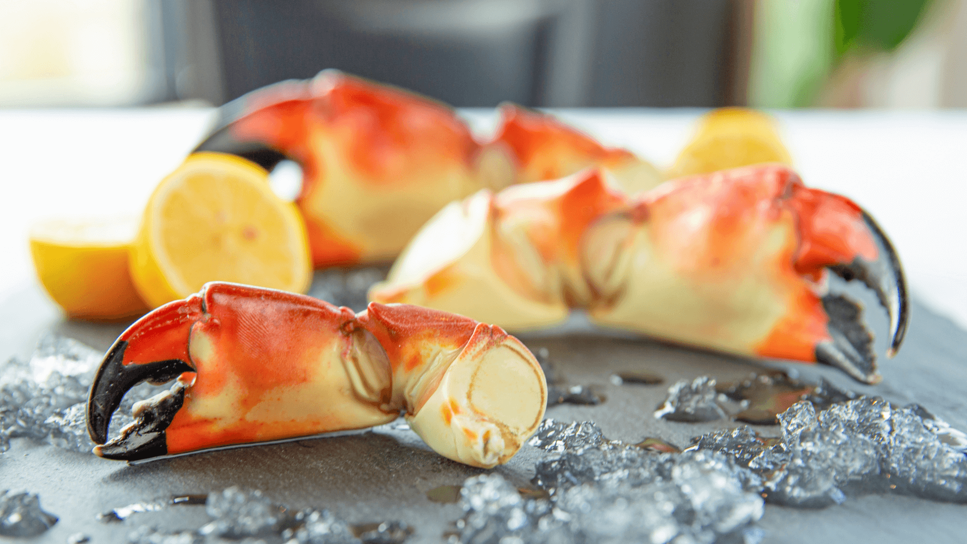 picture of Florida stone crab claws