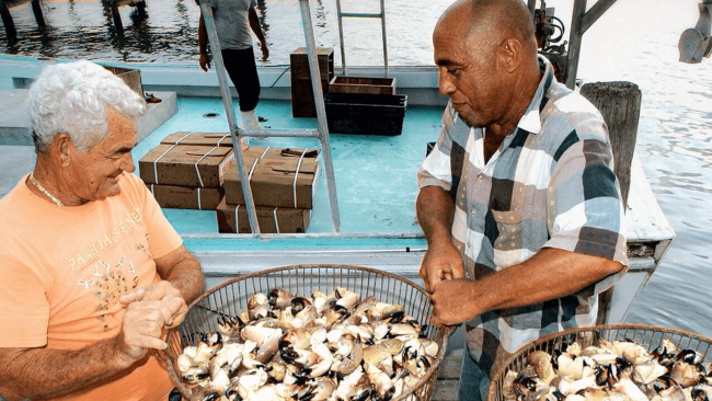 picture of Florida stone crab claw fishermen holding a basket of freshly caught stone crab claws