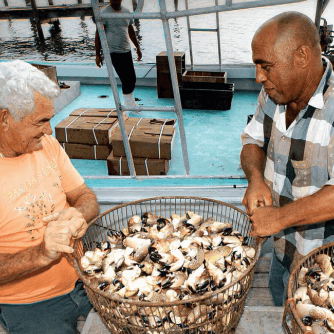 picture of stone crab fishermen holding a basket of fresh stone crab claws