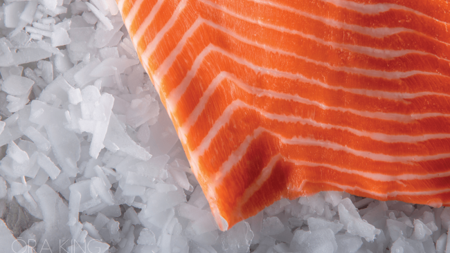 picture of Ora King Salmon filet over a bed of salt