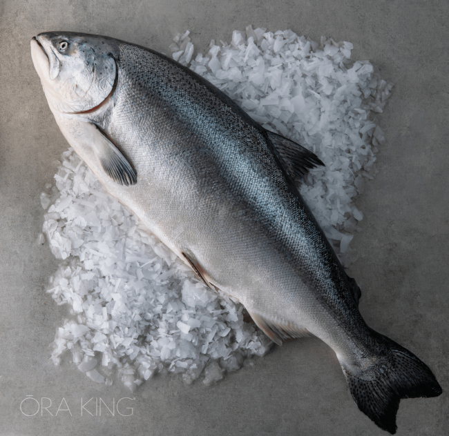 picture of Ora King Salmon