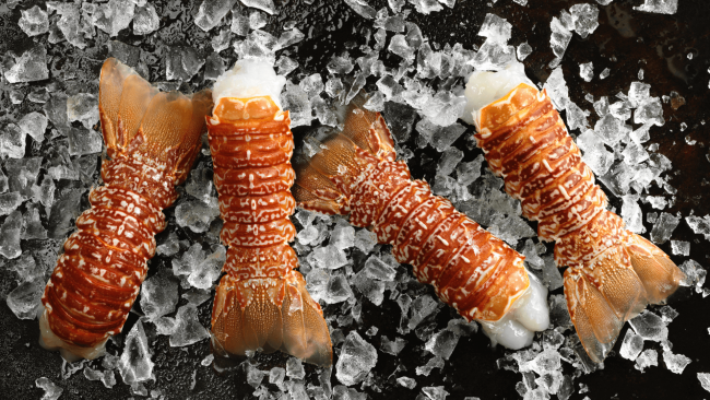 picture of four South African lobster tails with large chunks of ice in the background