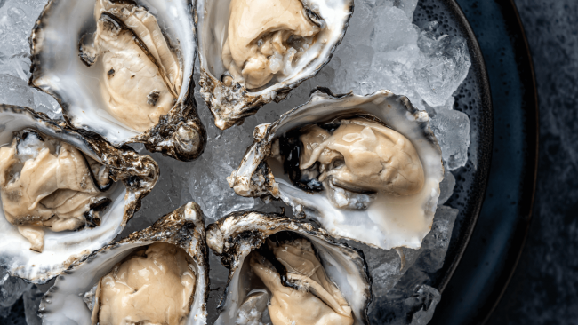 picture of Belon oysters on the half shell on a bed of ice