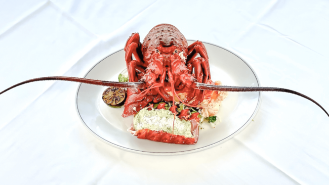 picture of the Santa Barbara spiny lobster composed dish