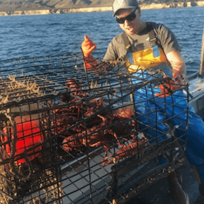 picture of a fisherman with a lobster fishing crate.