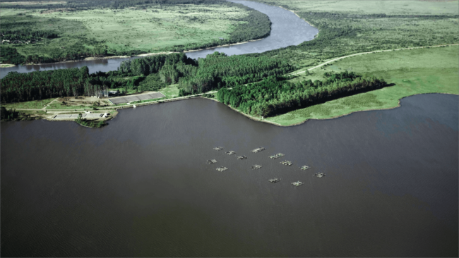 picture of the Black River Caviar fishery from overhead