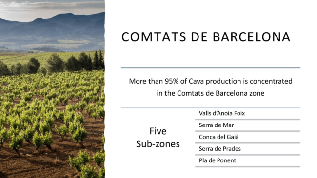 comtats de barcelona, five sub zones