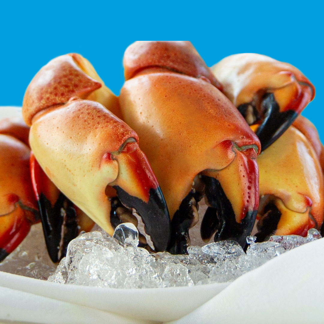 10 Fun Facts About Florida Stone Crab Trulucks