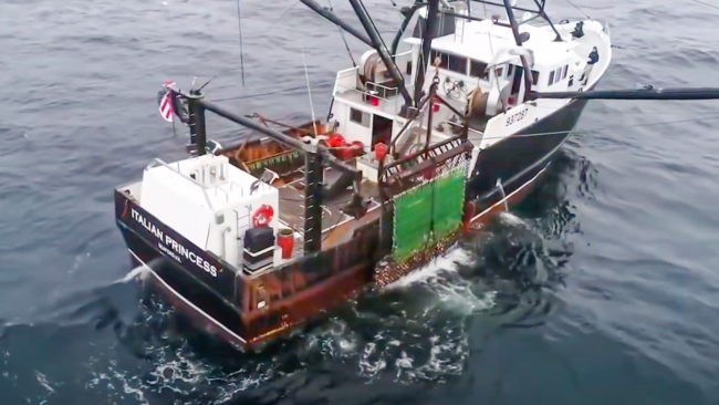 picture of The Italian Princess scallop boat going out to sea