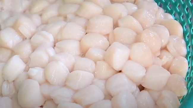picture of freshly deshelled scallops