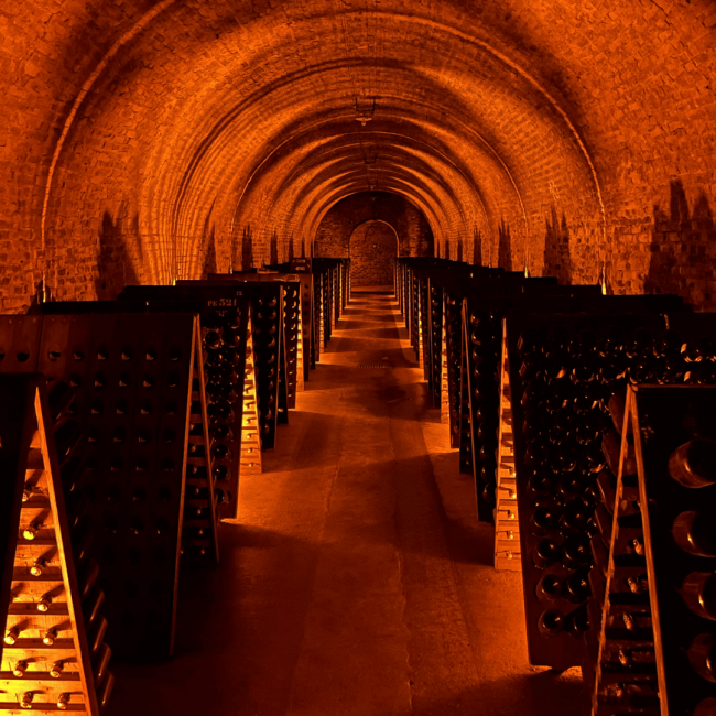 Ayala winery wine vault with cool amber lighting