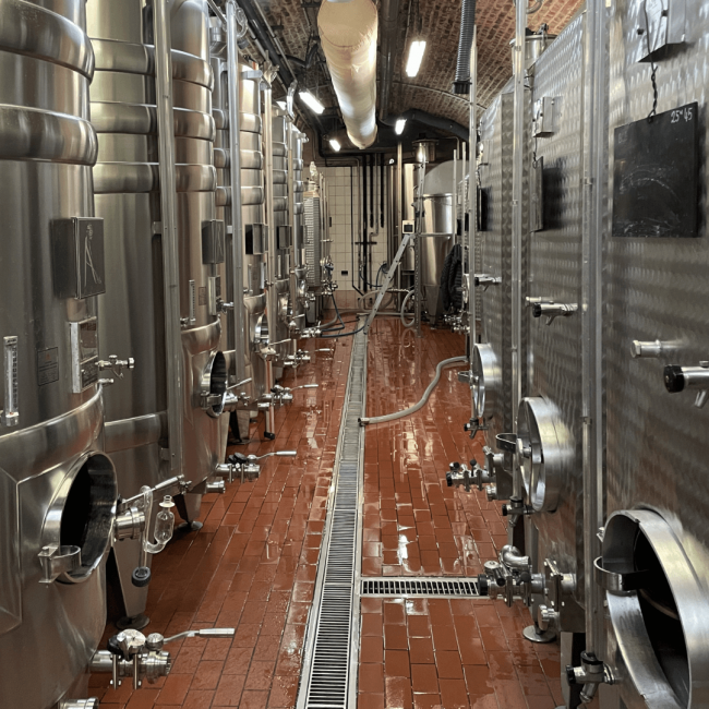 Ayala winery wine fermentation machines