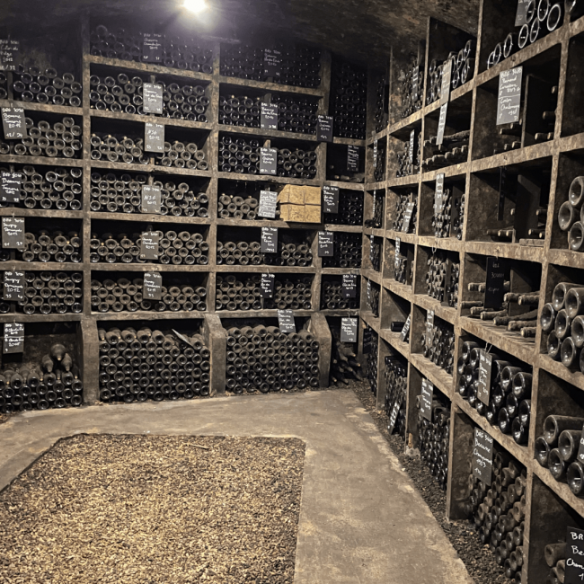 Chanson winery wine storage vault