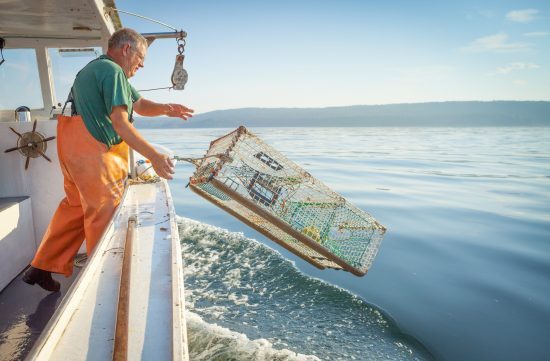 male fisherman in overalls on a boat throwing a crab fishing pod over the boat into the ocean