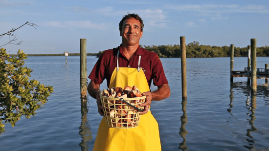a fisherman with a basket of fresh Florida stone crab claws just caught