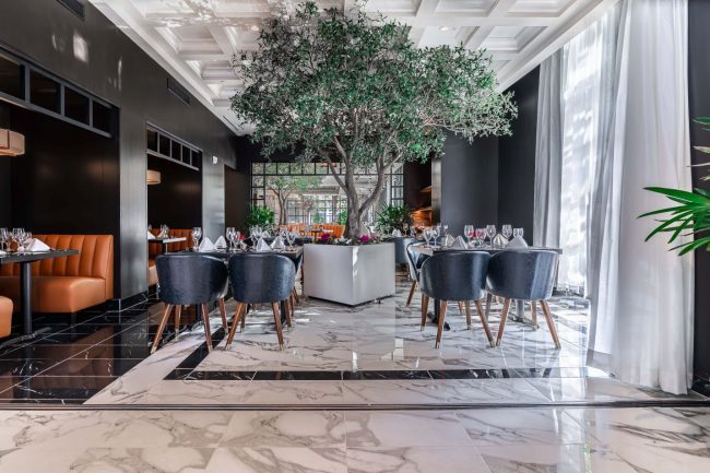 The Legacy group dining room view from inside the Trident room with a large olive tree in a white planter, peacock blue chairs and black marble flooring