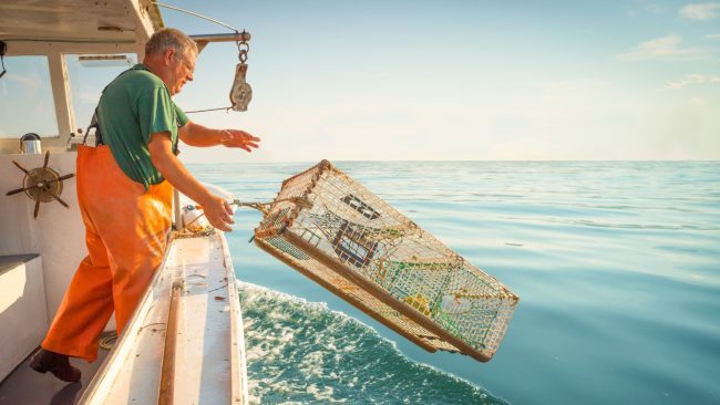 fisherman in orange waders and a green shirt throwing a crab basket into the water off a boat out at sea