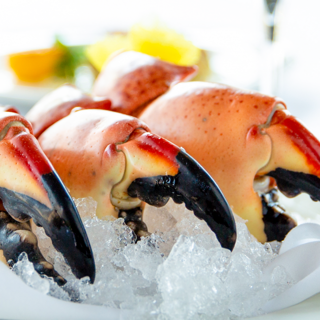 a close up shot of stone crab claws on a bed of ice