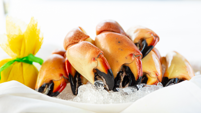 stone crab claws stacked on top of each other over a bed of ice with a wrapped lemon in the background