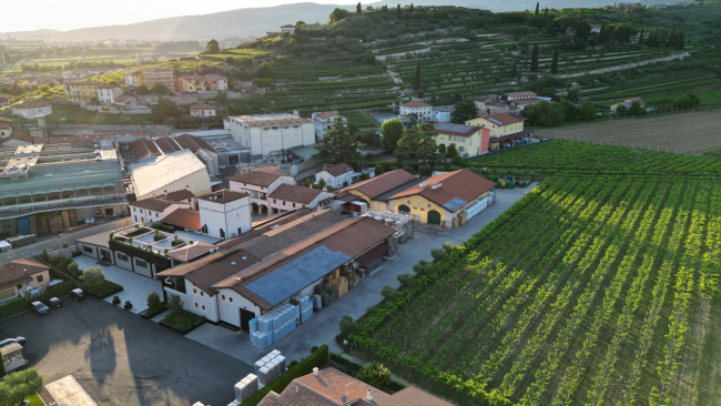 An Italian vineyard with vineyard buildings and small town in the background