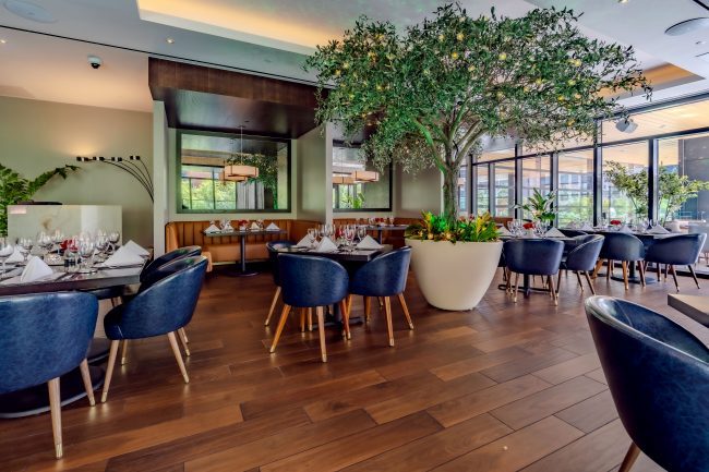 Truluck's Austin downtown upstairs mezzanine garden room view from the far corner looking at the large olive tree in the center of the room. The tables are wood with navy leather chairs.