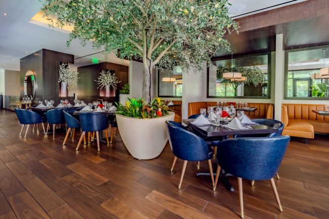 Truluck's Austin downtown upstairs mezzanine garden room view from the far corner looking at the large olive tree in the center of the room. The tables are wood with navy leather chairs and there are tan leather booths on the far wall with mirrors on the walls.