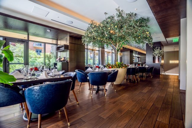 Truluck's Austin downtown upstairs mezzanine garden room view from the far corner looking at the large olive tree in the center of the room. The tables are wood with navy leather chairs.