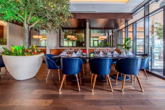 Truluck's Austin downtown upstairs mezzanine garden room looking across at the mirrored walls. There is large olive tree on the left and the table has navy leather chairs.