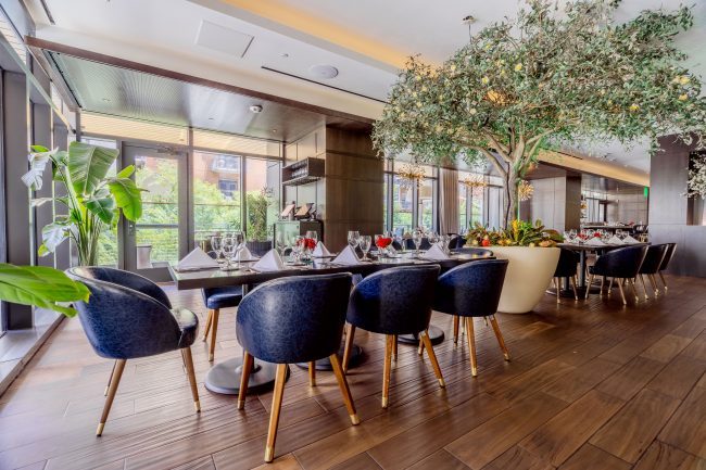 Truluck's Austin downtown upstairs mezzanine garden room view from the far corner looking at the large olive tree in the center of the room. The tables are wood with navy leather chairs.