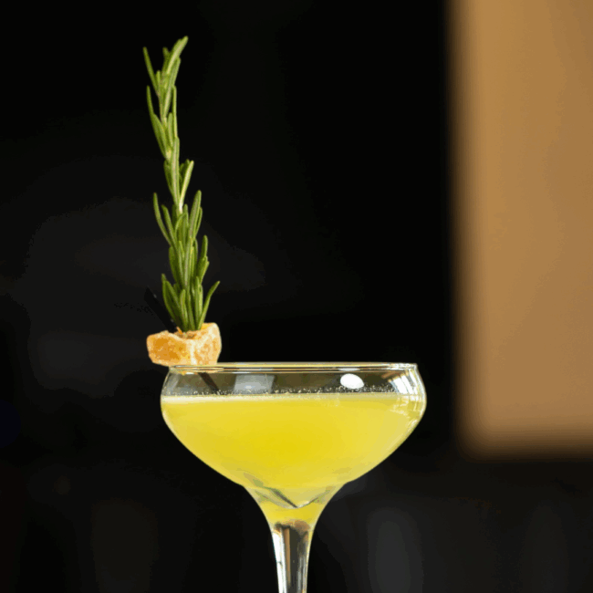 The Emerald City cocktail is a bright yellow and served in a coup style glass and garnished with a whole sprig of rosemary that's stuck into a piece of candied ginger and balanced on the lip of the glass