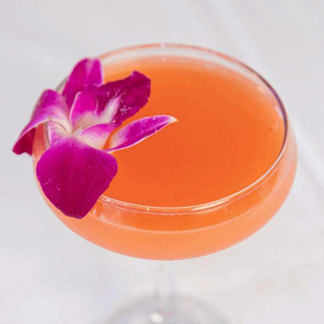 prettyi in pink cocktail served in a coupe style glass with a fresh purple orchid flower as a garnish