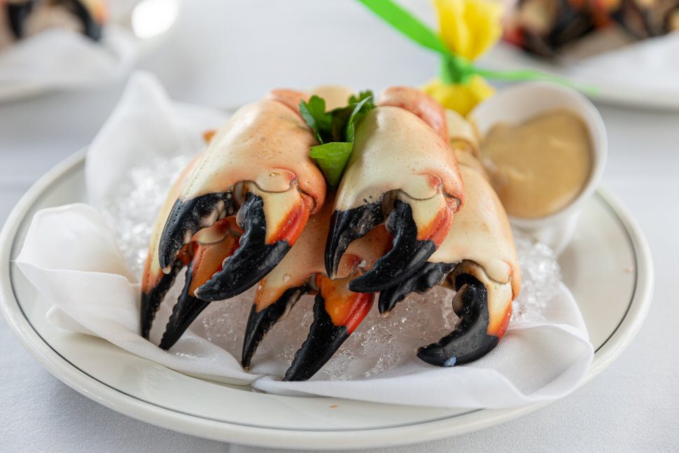 Fresh Florida stone crab claws on a bed of ice with mustard sauce in a rarmekin and a lemon wrap in the background