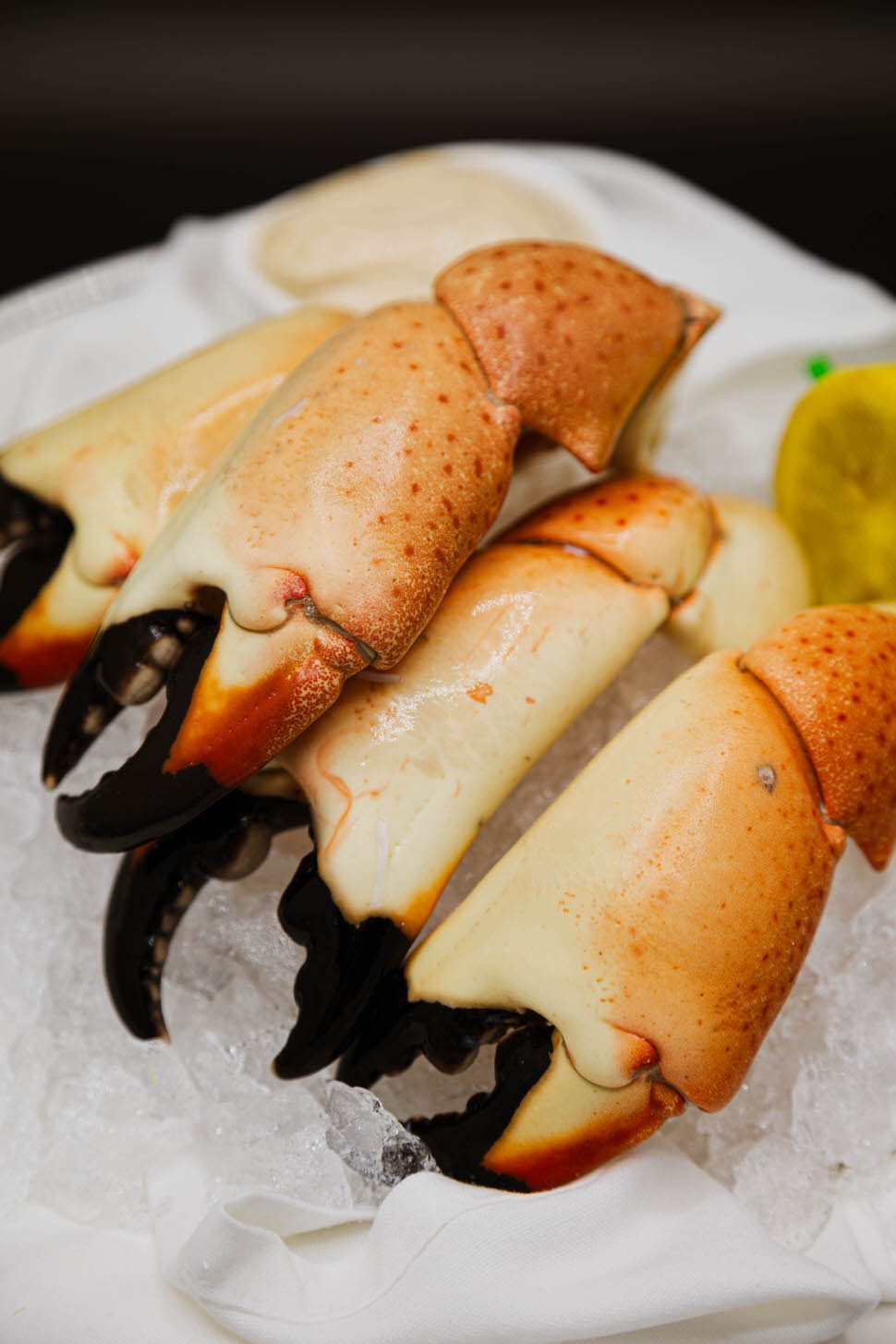 Fresh Florida stone crab claws served chilled over crushed ice with a lemon wedge on a white platter.