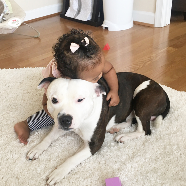 A young child with curly hair and a small bow sits on a soft rug, hugging a calm black-and-white dog from behind as the dog lies relaxed on the floor in a cozy indoor setting.